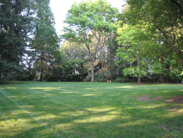 The cemetery's parklike setting